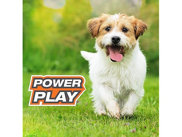 Nylabone Tennis Ball Dog Toy 3pk