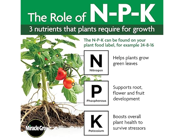 Miracle-Gro Water Soluble All Purpose Plant Food