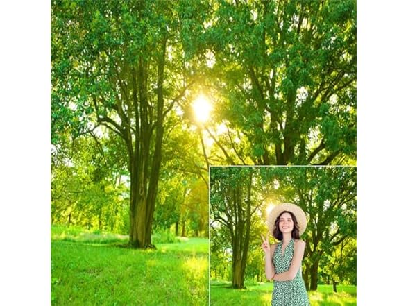 Green Forest Photo Backdrops 10x10ft