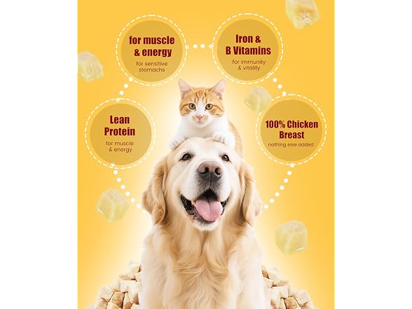 LILSNOOTS Freeze Dried Chicken Treats