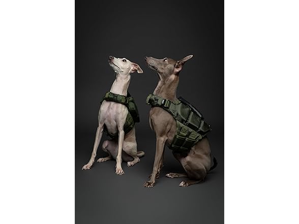 NOAH & PAW Dog Life Jacket- XSmall