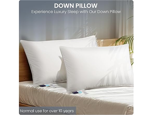 Wedhouc Goose Down Pillow