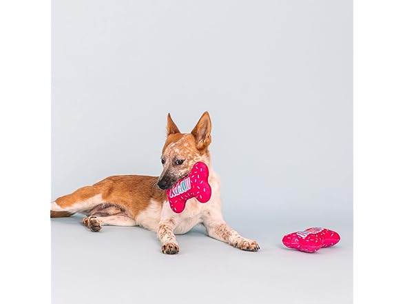 It's My Barkday Plush Dog Toy