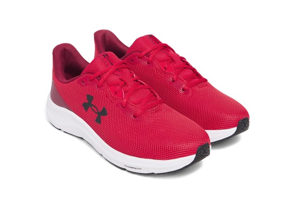 Red / Cardinal / Black