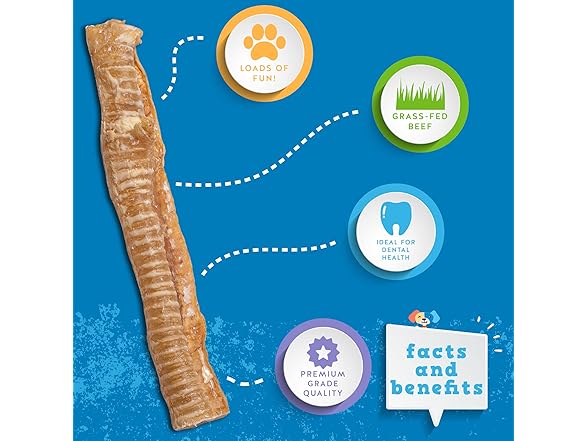 Jack&Pup 12" Beef Trachea for Dogs