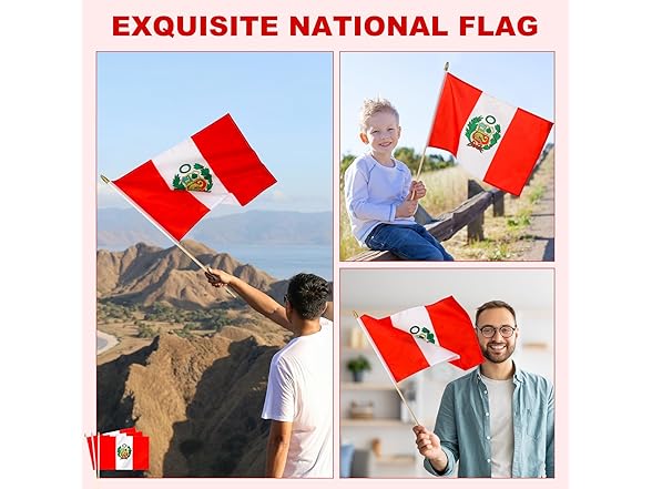 Yingnner Peru Stick Flags 12x18" 12pk