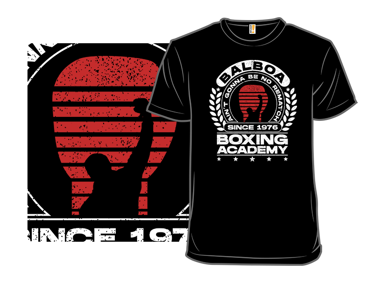 Balboa Boxing Academy - Gallery 8