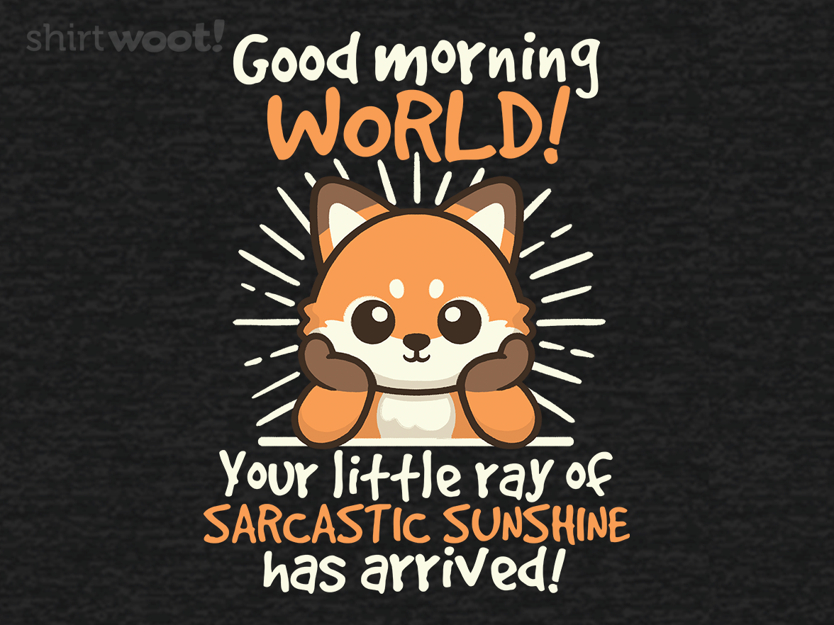 Fox Sarcastic Sunshine - Gallery 4