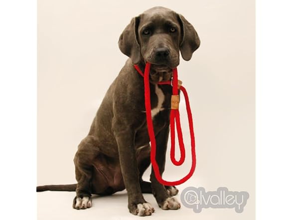 Alvalley Rope Dog Leashes with Stopper