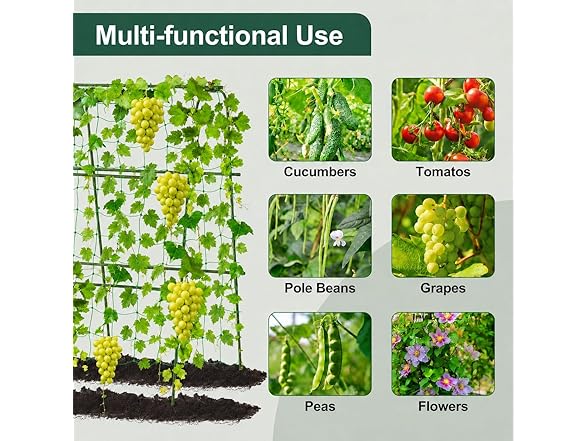 FOLLOOK Cucumber Trellis