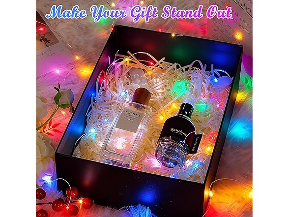 Lakumu 12-Pack Fairy Lights