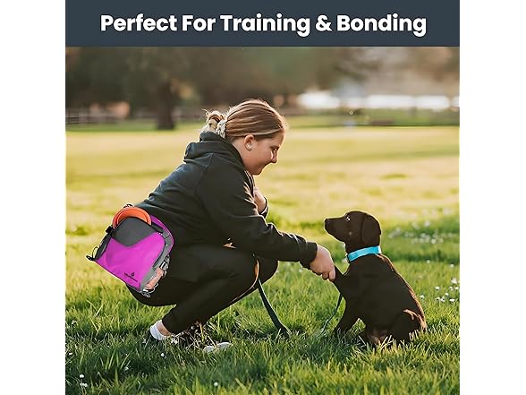 IDEALGROVE Large Dog Treat Pouch