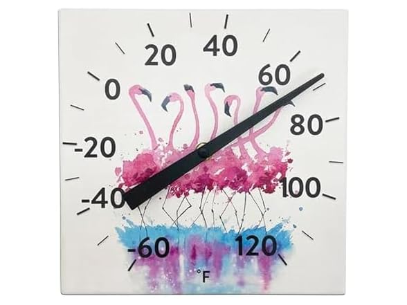 Taylor 8INP Tabletop Thermometer