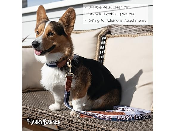 HARRY BARKER Duo Dog Leash and Collar