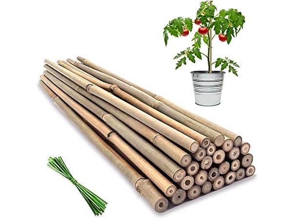 $13.99, Was $29.99, 53% Off! BOVITRO GAR-09 (2 Pack) 18IN Plant Stakes dealfomo