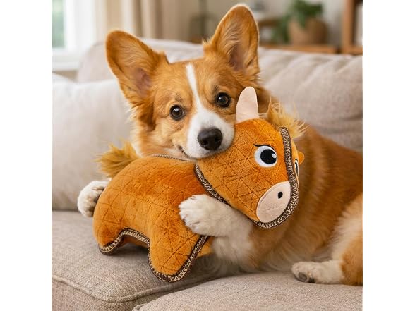 Outward Hound Xtreme Seamz Dog Toy