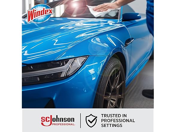 SC Johnson Professional Windex Automobile Wipes 25 CT 12PK