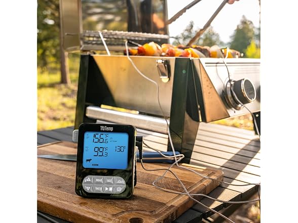 Taylor TruTemp Dual Probe Wired Programmable Thermometer