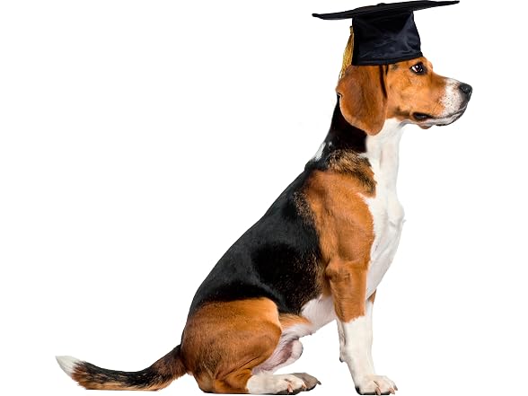 Rubies Graduate Pet Hat for Dogs or Cats, S/M