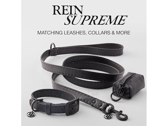 Pet Passion Links - The Saddle Stitch Vegan L
