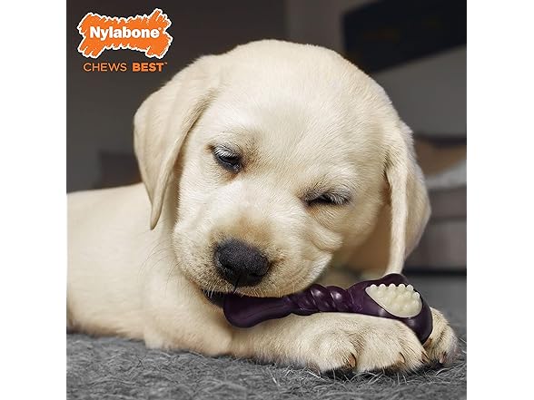 Nylabone Double Action Bone Puppy Chew