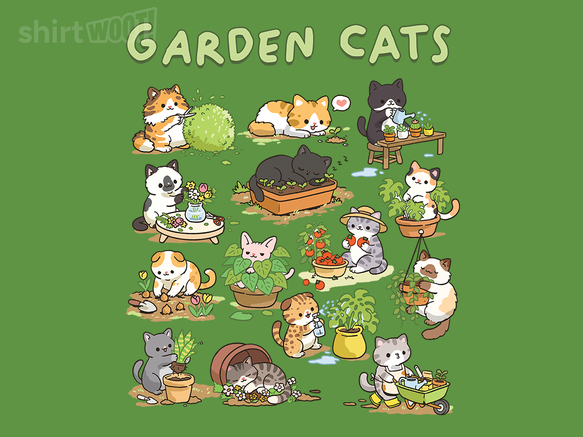Garden Cats - Gallery 4
