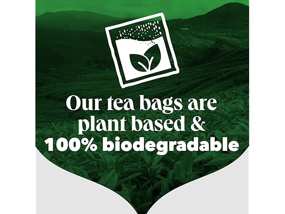 80CT PG Tips Original Non-Pyramid Black Tea Bags