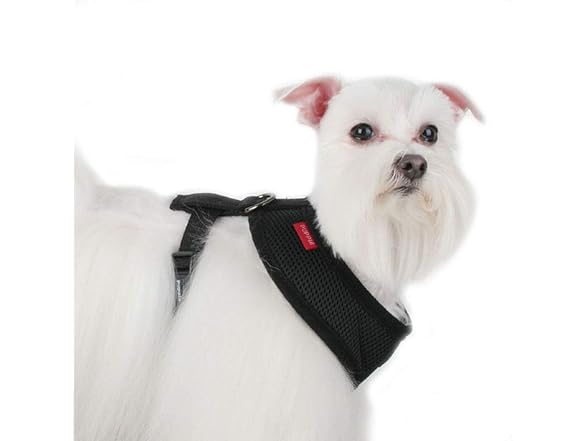 Puppia Soft Dog Harness