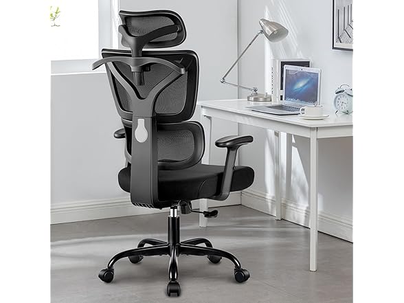 Winrise Office Chair Ergonomic Desk Chair, High Back Gaming  (Open Box)