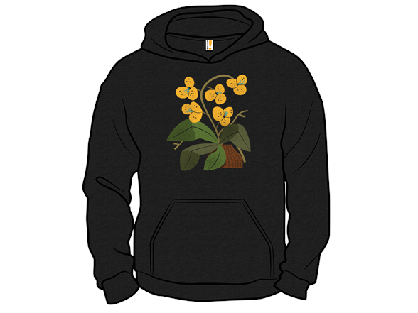 Yellow Orchid