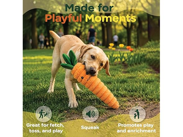 Bow Wow Pet Squeaky Plush Dog Toy with Crinkle