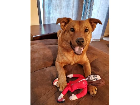 Republican Dogs Nancy Pelosi Novelty Dog Chew
