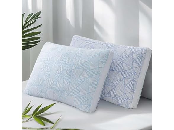 Sylvaris Memory Foam Pillows 2 Pack Queen