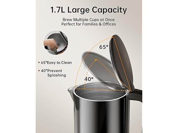 Electric Kettle with Temperature Control