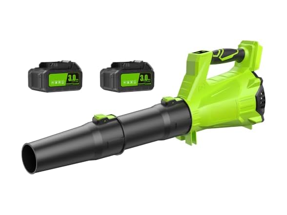 JAGROM Leaf Blower Cordless