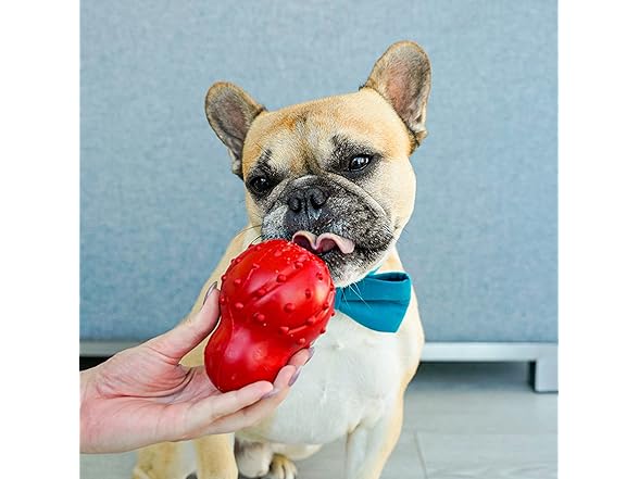 Nylabone Treatin' Cone Strong Stuffable Chew toy