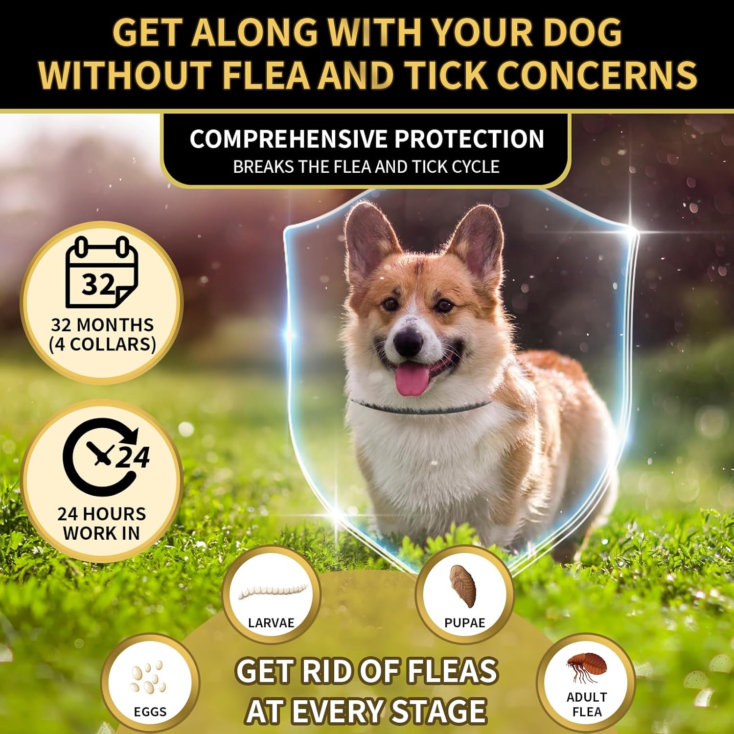 Flea & Tick Collar for Dogs 4-Pack - Gallery 8