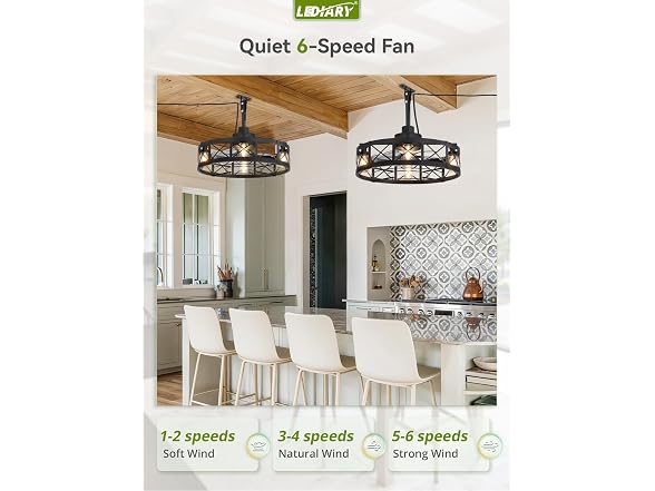 LEDIARY Black 22" Outdoor Ceiling Fan with Lights