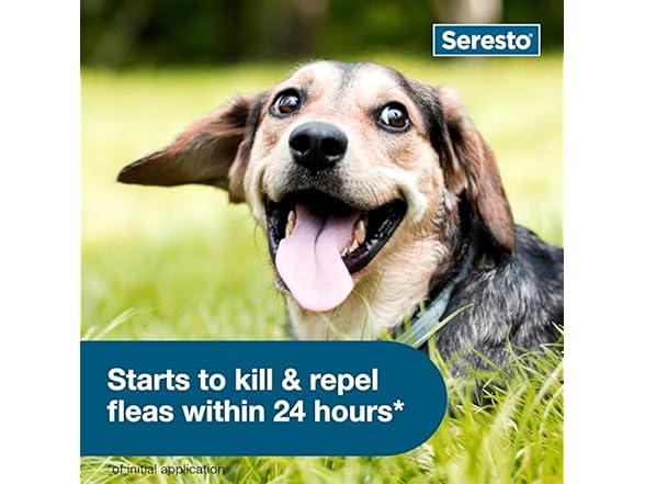 Seresto Small Dog Flea & Tick Treatment & Prevention Collar