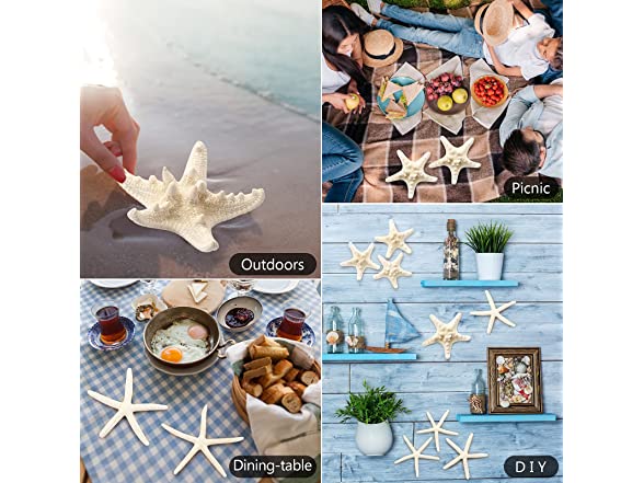 UEIEU 12 PCS Starfish Decor | 2.5-6 Inch