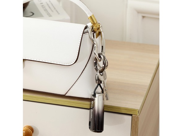 (2 Pack) Cute Y2K Carabiner Keychain Clips