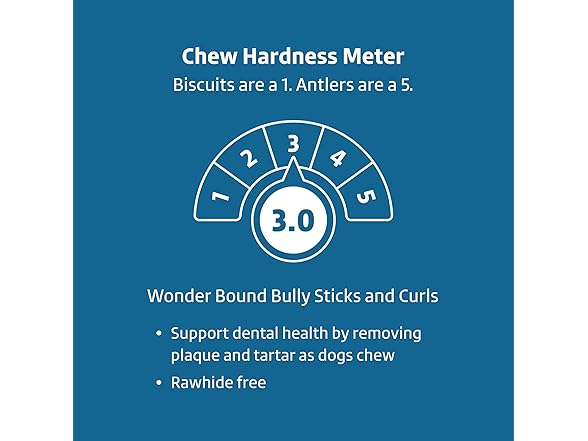 Amazon Brand Wonder Bound Bully Curls