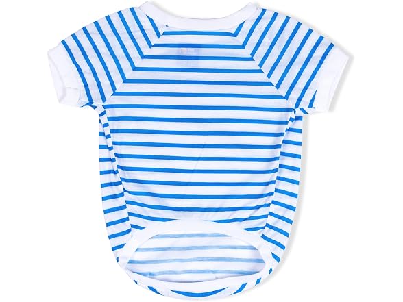 Dodo Extra Small Dog T-Shirt: Blue & White Striped, XS