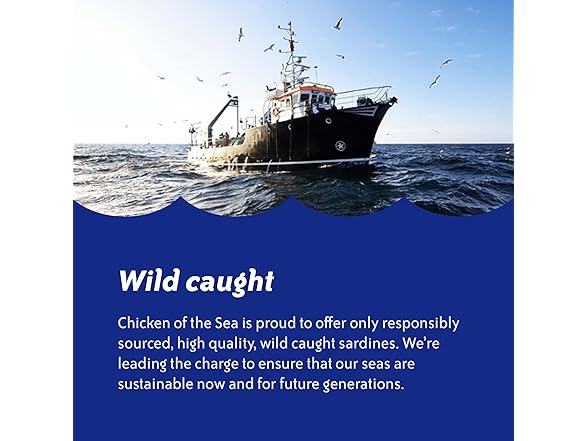 1CT Chicken of the Sea Sardines in Louisiana Hot Sauce