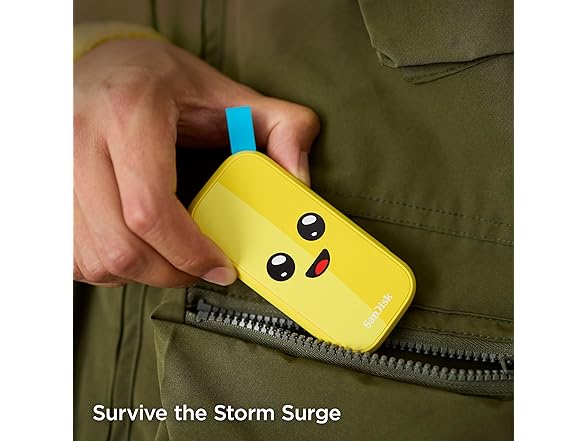 SanDisk 1TB Fortnite Portable SSD