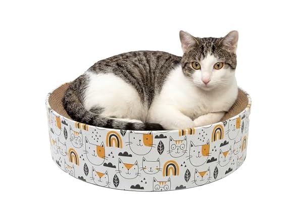 Kitty City Cat Print Corrugate Scratcher Bed - Round