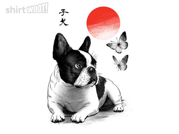 Frenchie under the sun