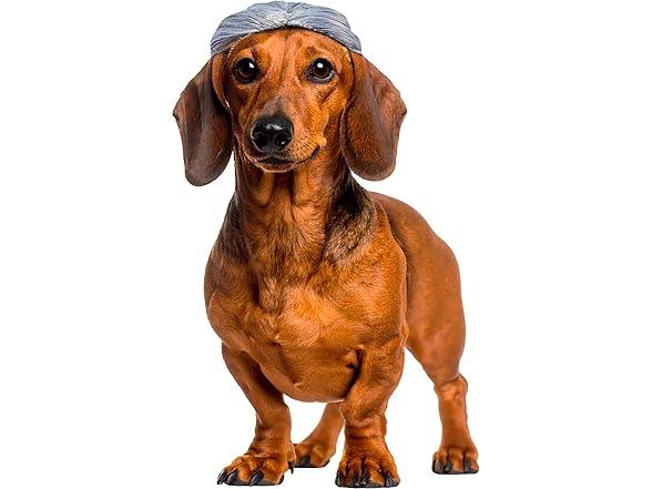 Rubies Old Lady Pet Wig, M/L