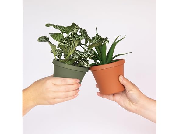 Bloem Terra Pot Planter 4in Living Green