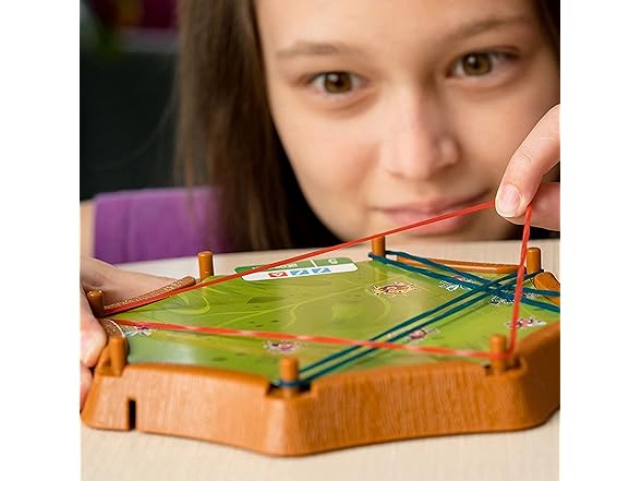 Think Fun Spiderweb: A Bug-Catching Logic Game